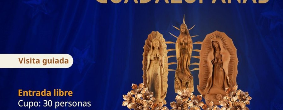 Miradas Guadalupanas