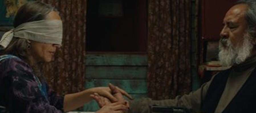 La misteriosa mirada del flamenco