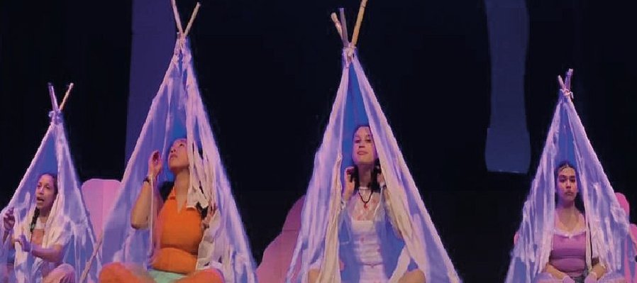 La metamorfosis de las mariposas