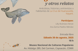 Imagen muestra de la actividad El tiburón gelatina y otros relatos