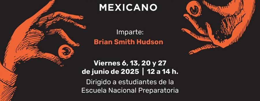 Modos de ver e imaginación radical en el arte contemporáneo mexicano
