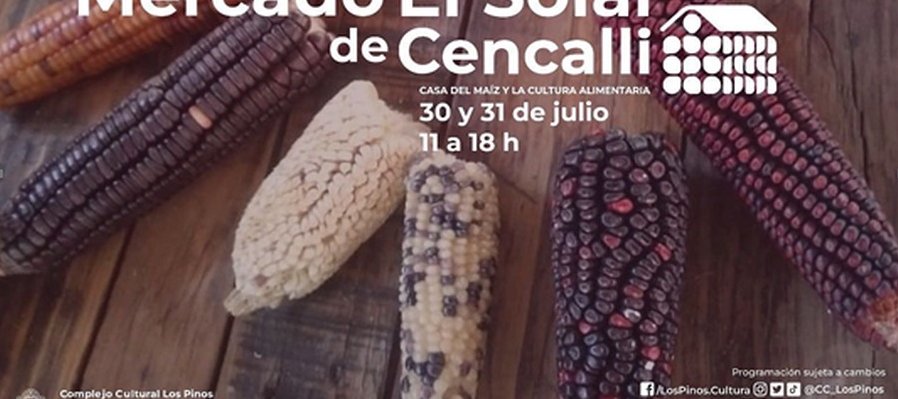 El mole como ejemplo de cadenas cortas agroalimentarias