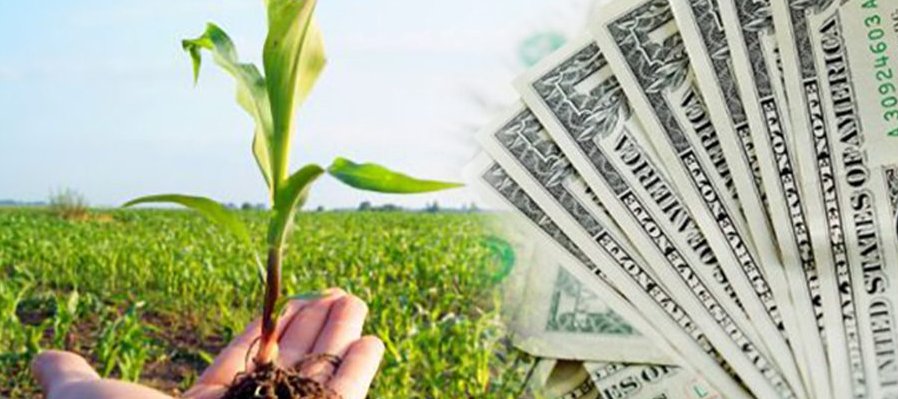 Monopoly Agropecuario