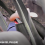 Imagen muestra de Morfología del pulque