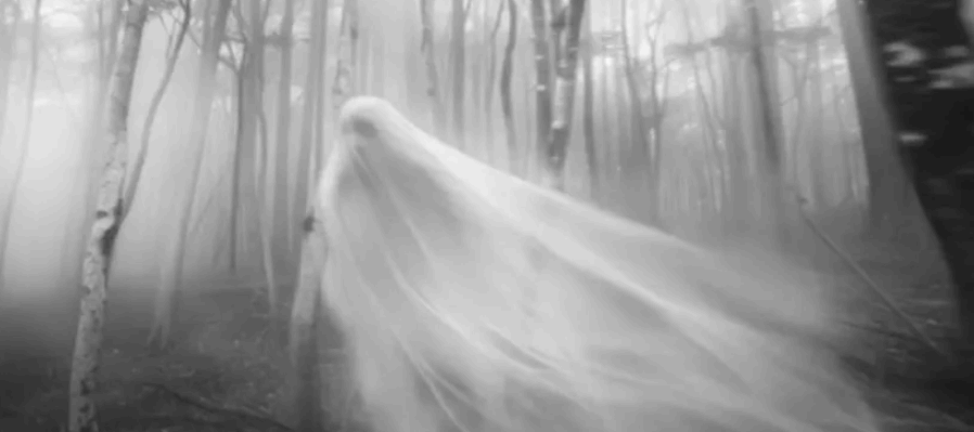 Moridos y aparecidos