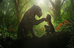 Imagen muestra de la actividad Mowgli