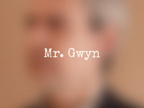 Imagen muestra de Mr. Gwyn