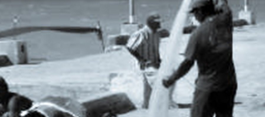 Muelle de pesca