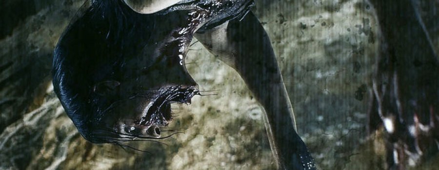 Muertamorfosis