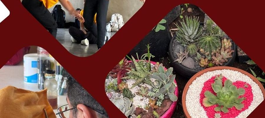 3er Trimestre de muestra exponencial