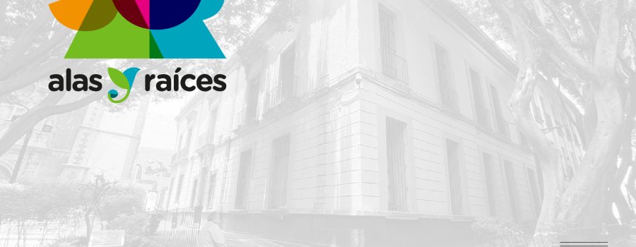 El viaje de los sueños