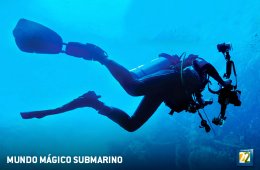 Mundo mágico submarino