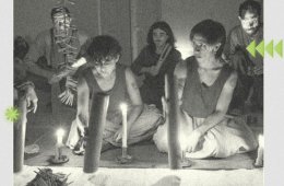 Imagen muestra de la actividad Las fiestas del pueblo murciélago