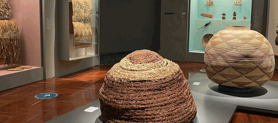 Visitas guiadas y demás actividades