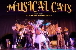Imagen muestra de la actividad: Musical Cats