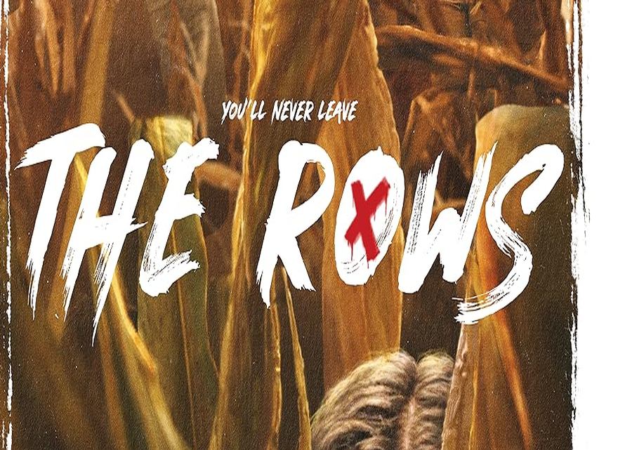 Imagen muestra de la actividad 