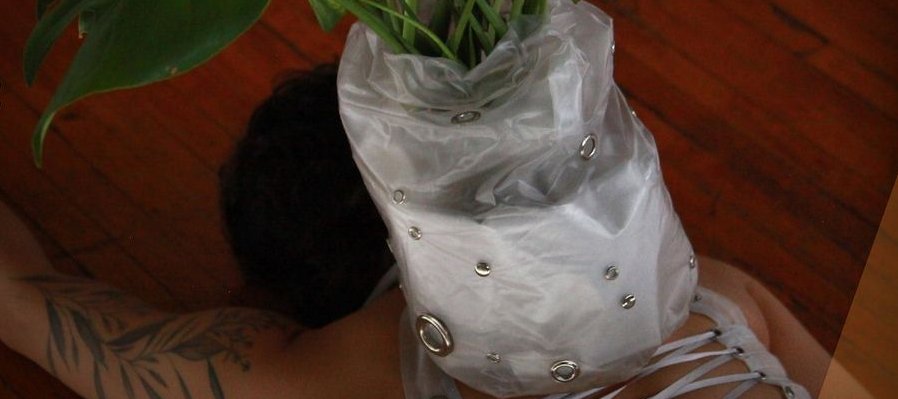 Movimiento vegetal: vínculos interespecie (muestra performática)