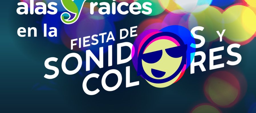 Parkour, niñez y territorio   