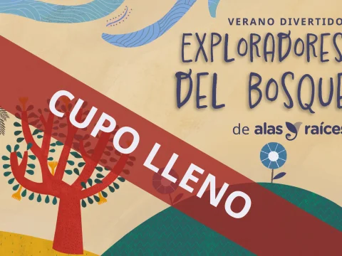 Exploradores del bosque