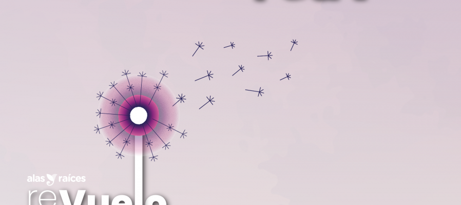 Desde el caparazón de la tortuga