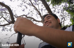 Nada que ver