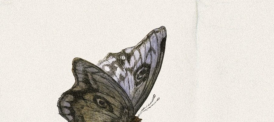 Nada en mi historia habrá sido en vano