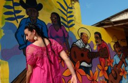 Imagen muestra de la actividad: Taller Fandango negro