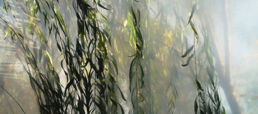 Naturaleza Concreta