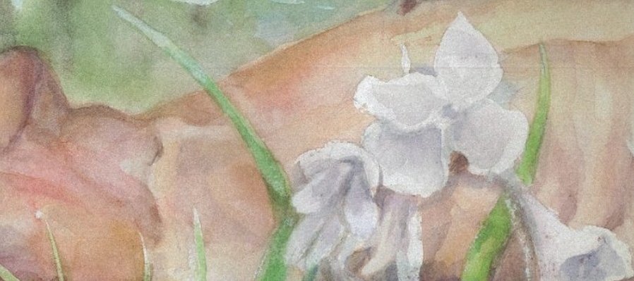 Navegación en Yoremito