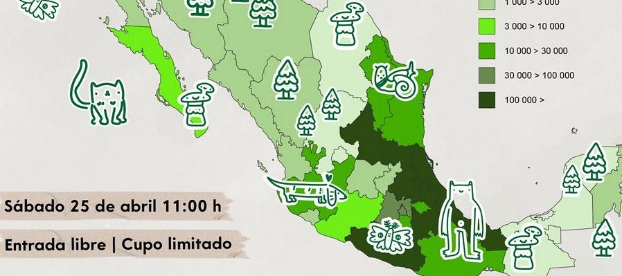 ¡TECHPAKTIA IN AMOXCALLI! Editar libros en nawatl para niños