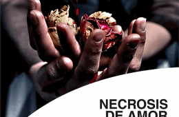 Necrosis de amor
