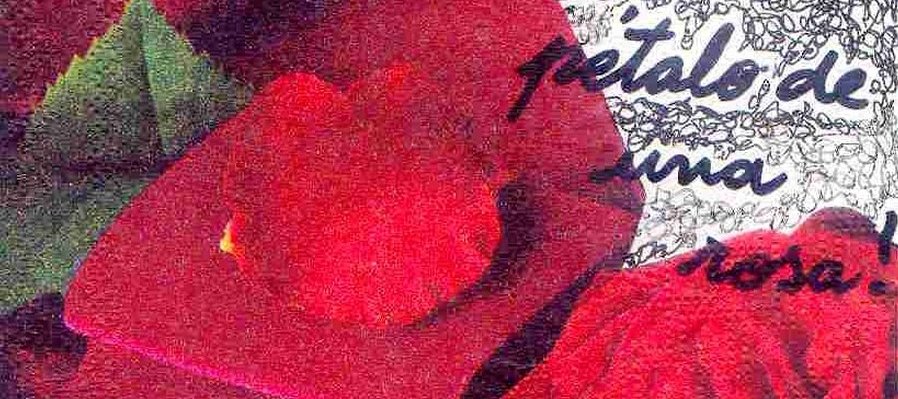 No se toca ni con el pétalo de una rosa