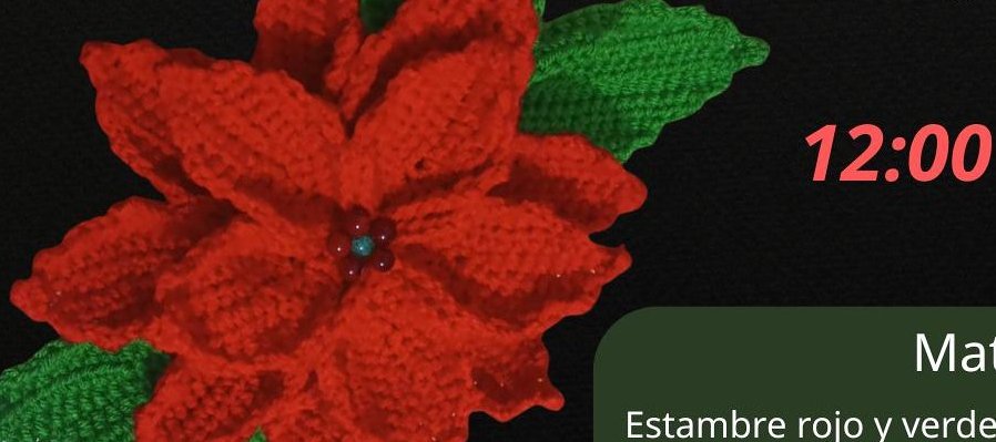 Tejido de noche buenas