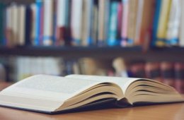 Imagen muestra de la actividad Novela