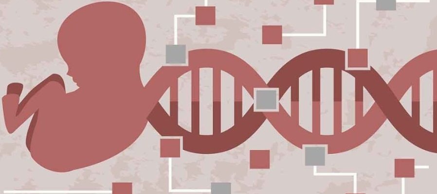 Nuestro origen en letras