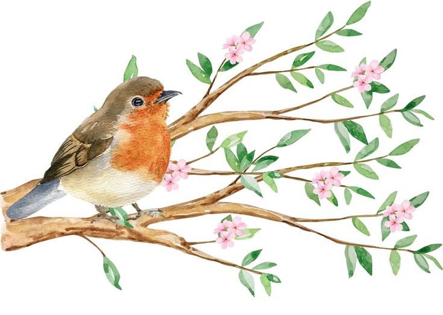 Imagen muestra de la actividad 