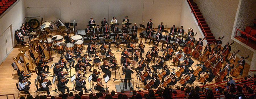 El Virtuosismo de Ludwig van Beethoven