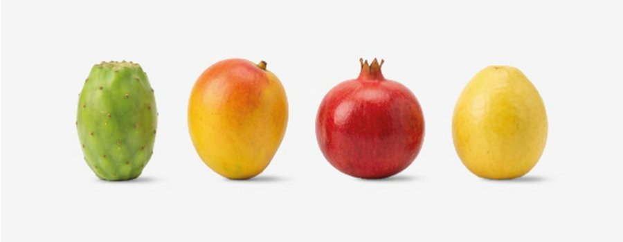 OFJ Programa 2. Concierto de despedida del Cuarteto Latinoamericano