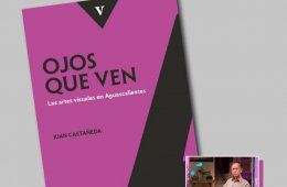 Imagen muestra de la actividad: Ojos que ven, las artes visuales en Aguascalientes