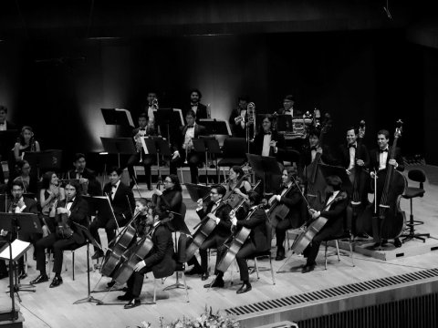 OJUEM: Festival Euforia
