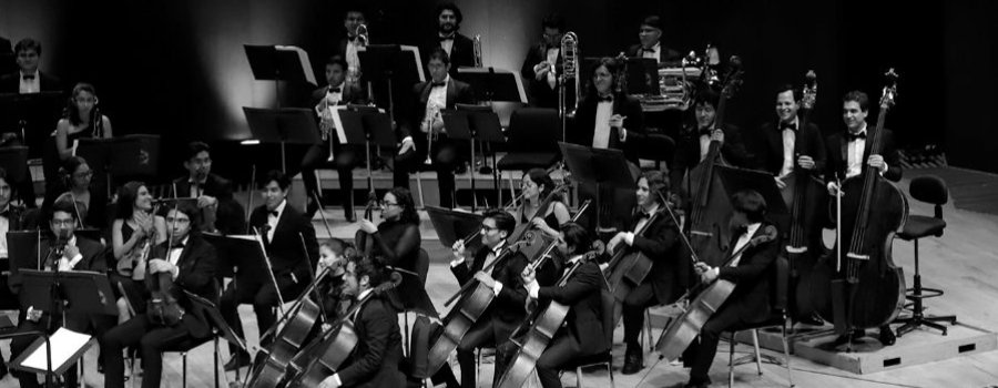 OJUEM: Festival Euforia
