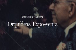 Orquídeas