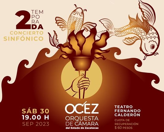 Imagen muestra de la actividad Concierto Sinfónico