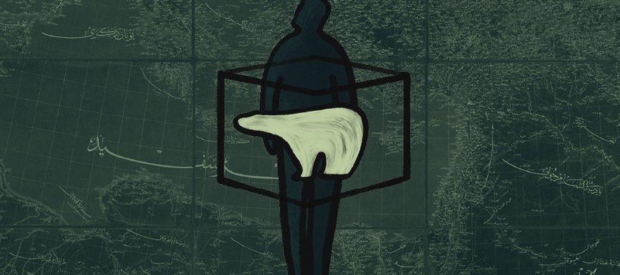 Oso polar decapitado