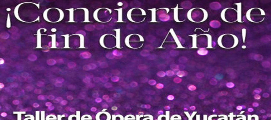 Programa 11 Concierto de Fin de Año