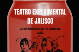 Imagen muestra de la actividad Solo las cucarachas pueden sobrevivir