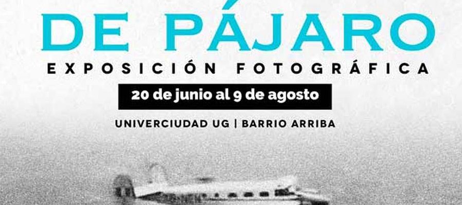 A ojo de pájaro