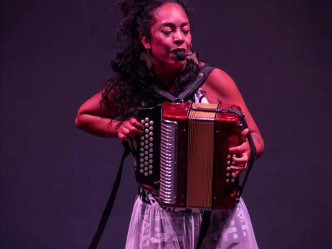 Imagen muestra de Palenque sonoro