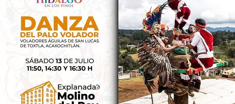 Palo volador