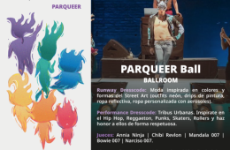 Imagen muestra de la actividad Parqueer ball